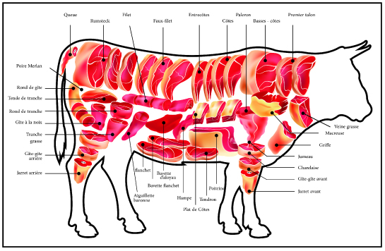 Gaec Leroyer à Domfront : éclaté boeuf